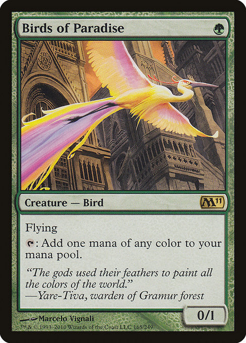 M11: Birds of Paradise