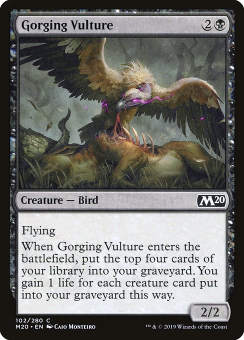 M20: Gorging Vulture (Foil)