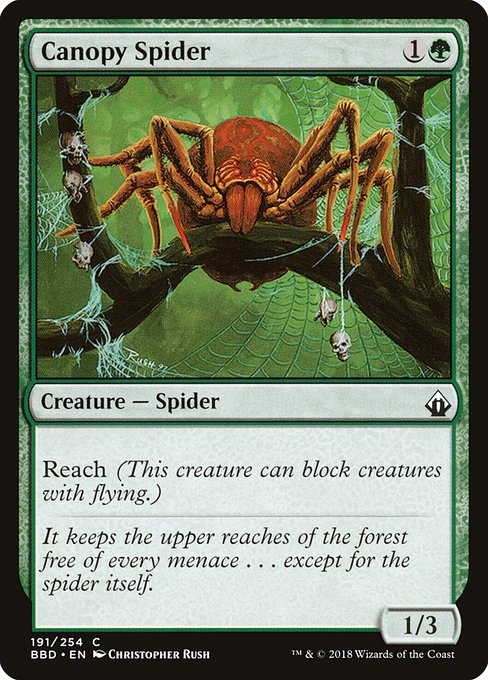 BBD: Canopy Spider
