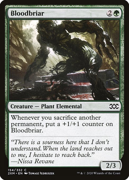 2XM: Bloodbriar (Foil)