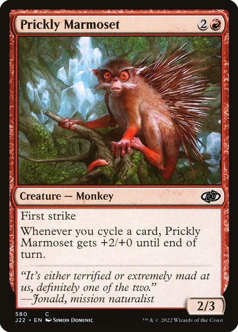 J22: Prickly Marmoset