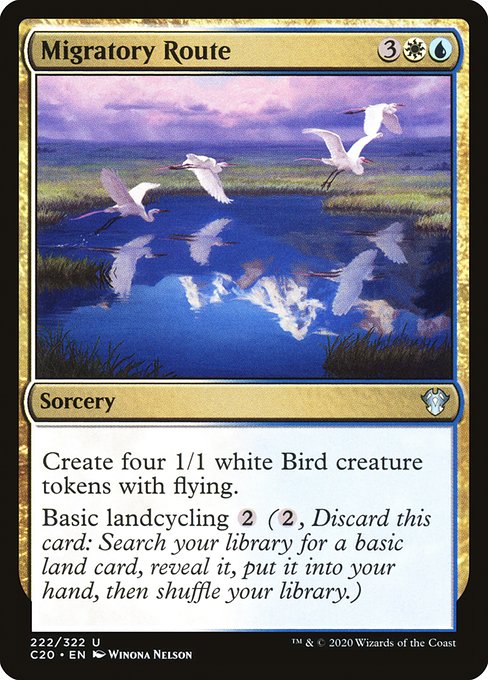 C20: Migratory Route