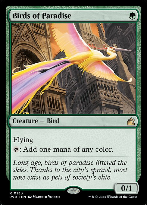 RVR: Birds of Paradise