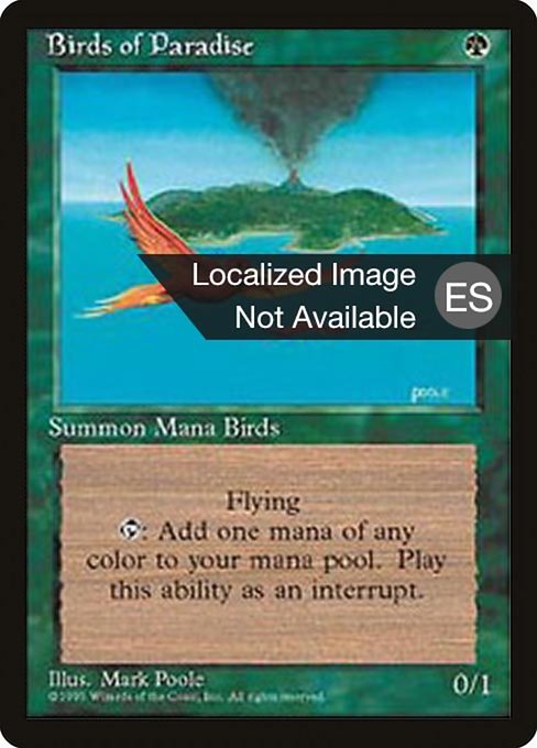 4BB: Birds of Paradise