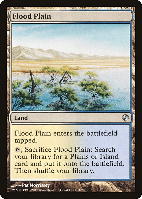 DDI: Flood Plain