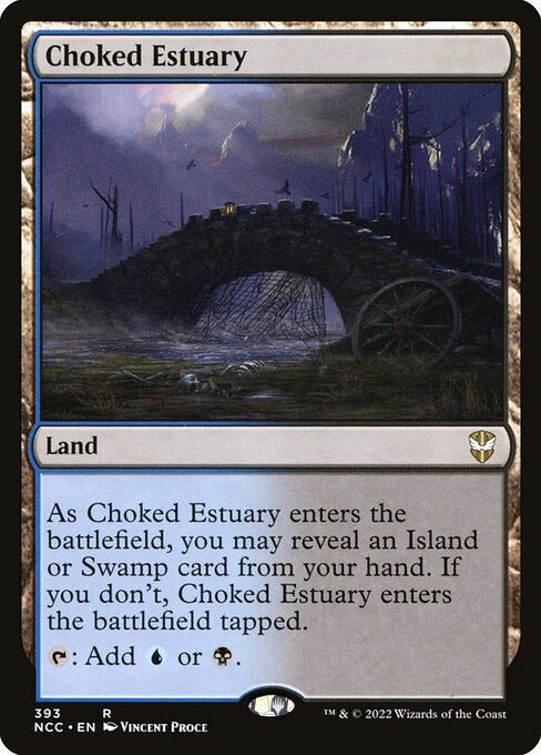NCC: Choked Estuary