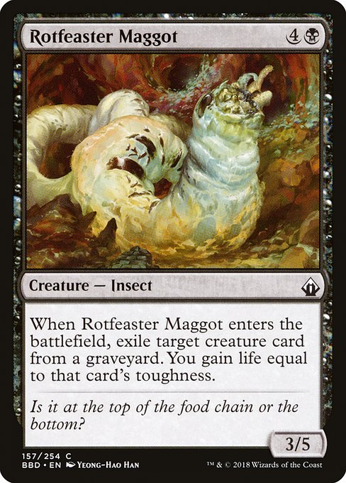 BBD: Rotfeaster Maggot