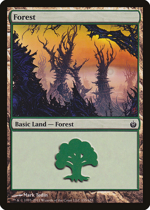 MBS: Forest (155)