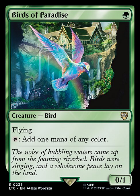 LTC: Birds of Paradise