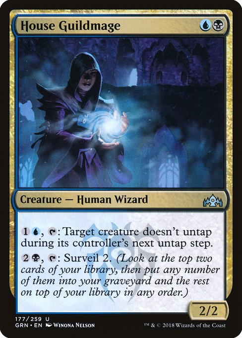 GRN: House Guildmage (Foil)