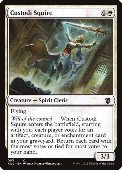 VOC: Custodi Squire