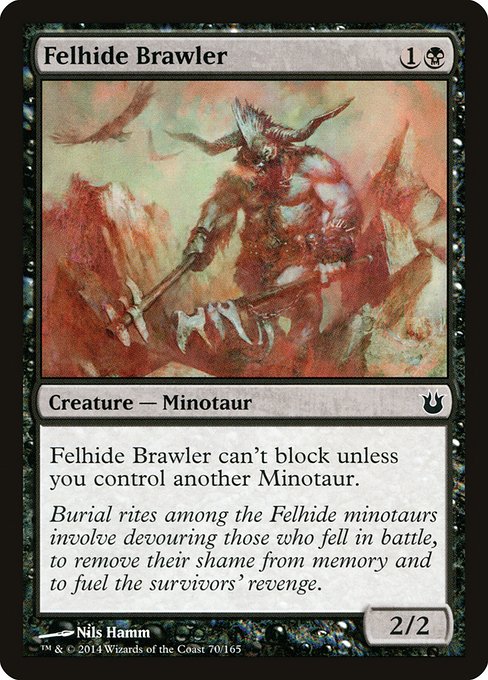 BNG: Felhide Brawler