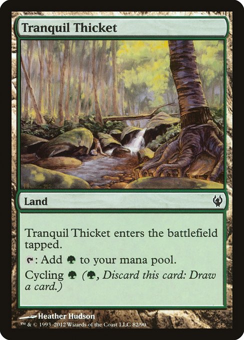 DDJ: Tranquil Thicket