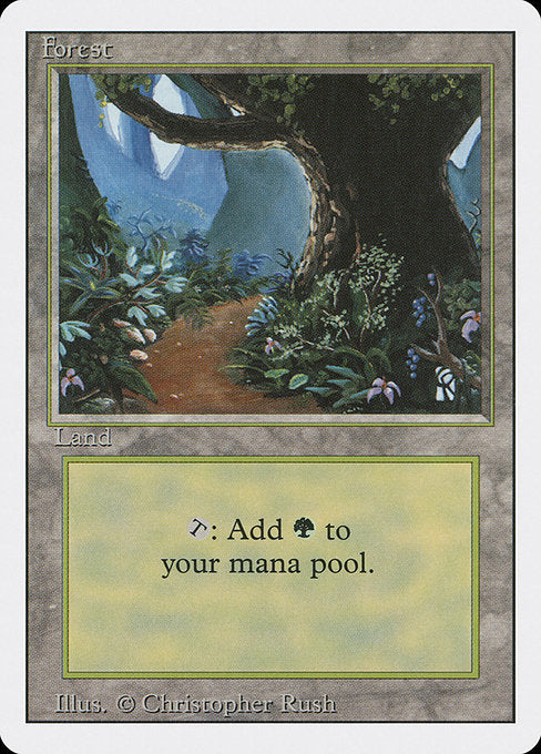 3ED: Forest (B)