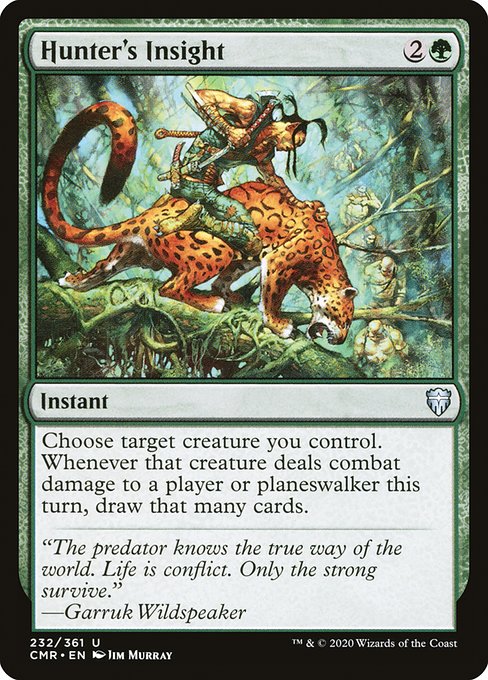 CMR: Hunter's Insight (Foil)