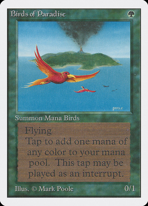 2ED: Birds of Paradise