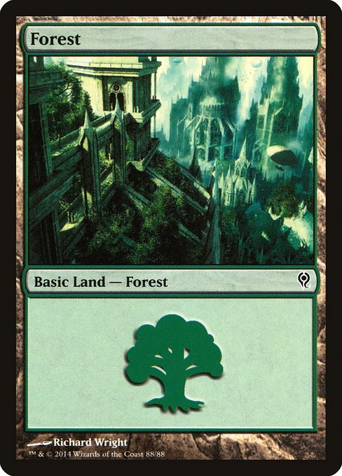 DDM: Forest (88)
