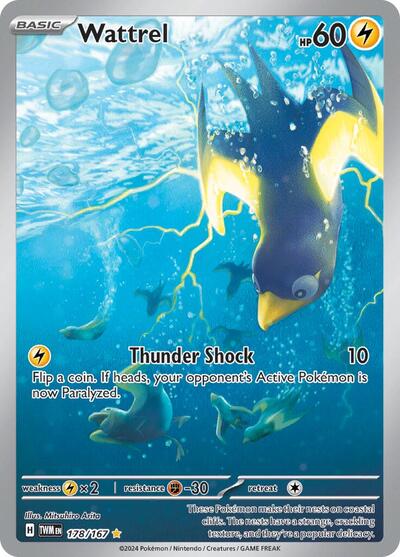 TWM: Wattrel - 178/167 (Holofoil)