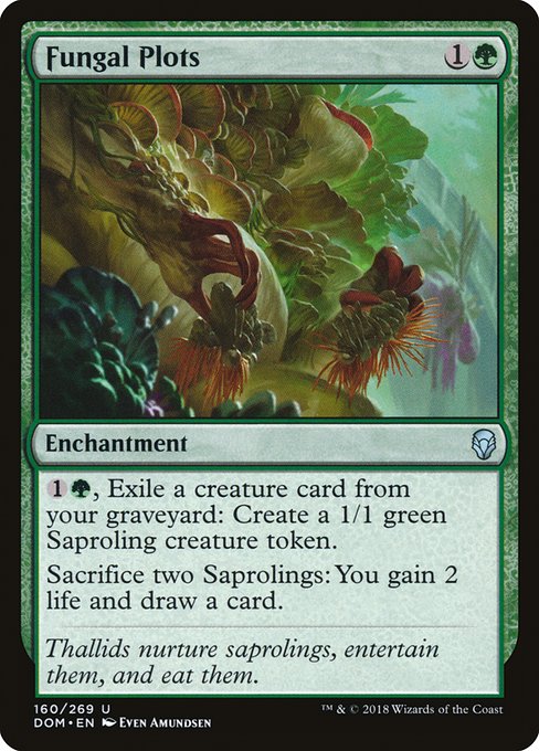 DOM: Fungal Plots