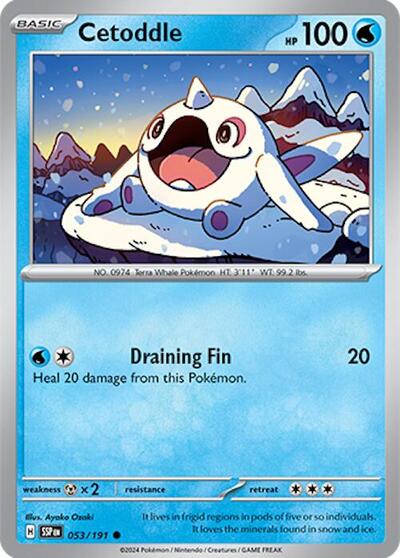 SSP: Cetoddle