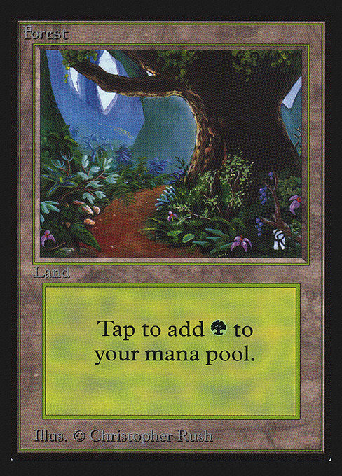 CEI: Forest (B) (IE)