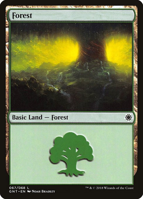 GNT: Forest (67)