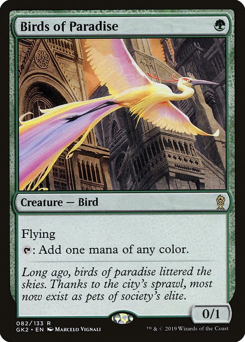 GK2: Birds of Paradise
