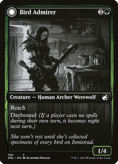 DBL: Bird Admirer