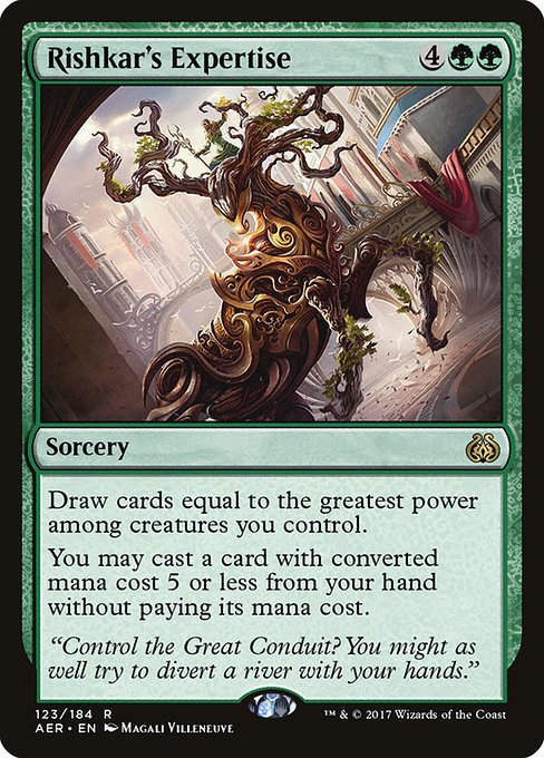 AER: Rishkar's Expertise