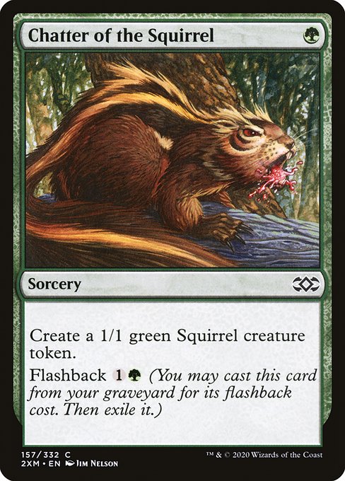 2XM: Chatter of the Squirrel