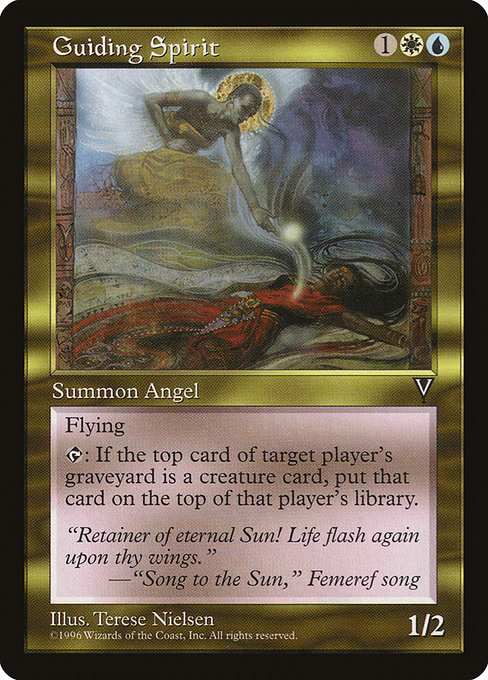 VIS: Guiding Spirit