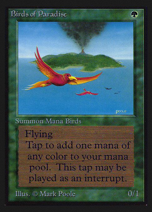 CED: Birds of Paradise (CE)