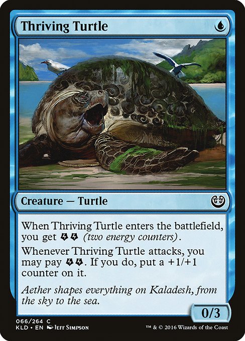 KLD: Thriving Turtle