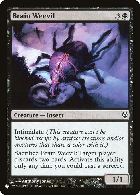 PLST: Brain Weevil