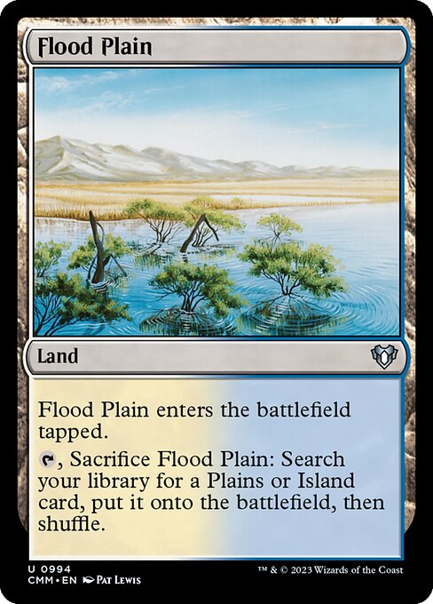 CMM: Flood Plain