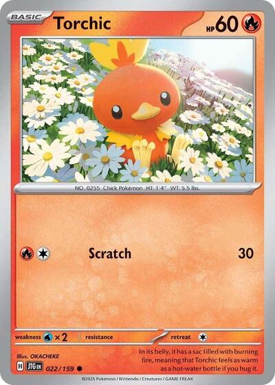JTG: Torchic (Reverse Holofoil)