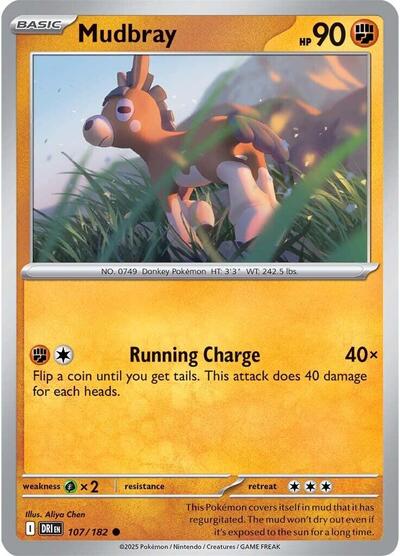 DRI: Mudbray
