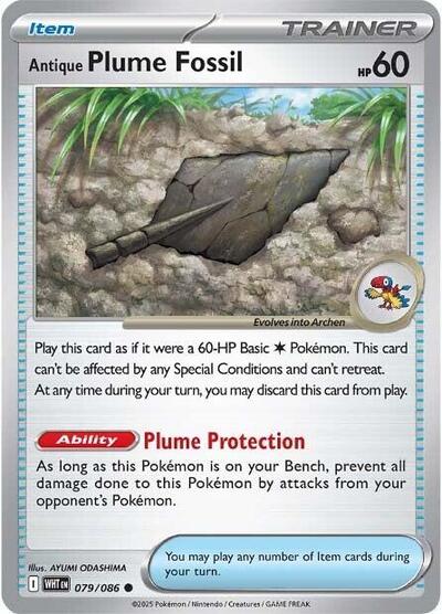 WHT: Antique Plume Fossil