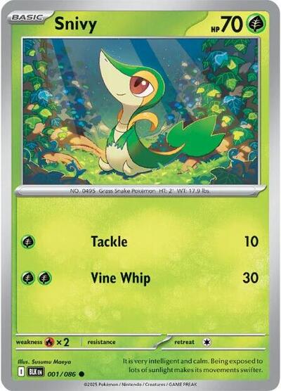 BLK: Snivy
