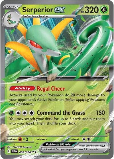 BLK: Serperior ex (Holofoil)