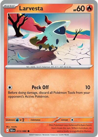 BLK: Larvesta