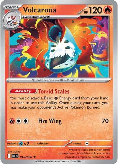 BLK: Volcarona (Holofoil)