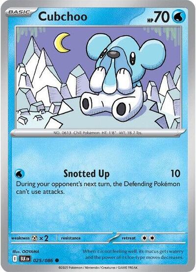 BLK: Cubchoo (Reverse Holofoil)