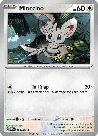 BLK: Minccino