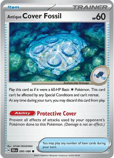 BLK: Antique Cover Fossil