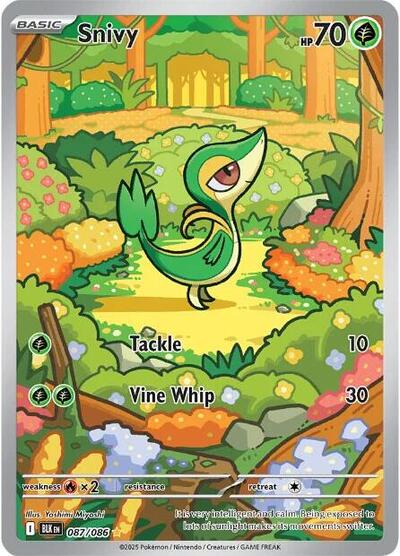BLK: Snivy - 087/086 (Holofoil)