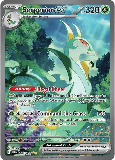 BLK: Serperior ex - 164/086 (Holofoil)