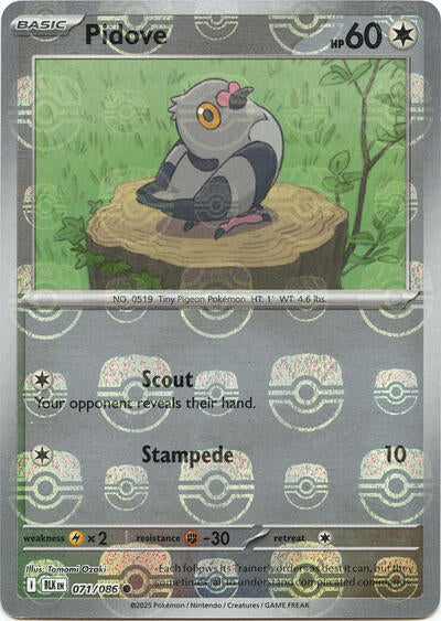 BLK: Pidove (Master Ball Pattern) (Holofoil)