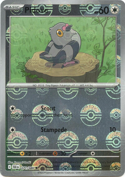 BLK: Pidove (Poke Ball Pattern) (Holofoil)
