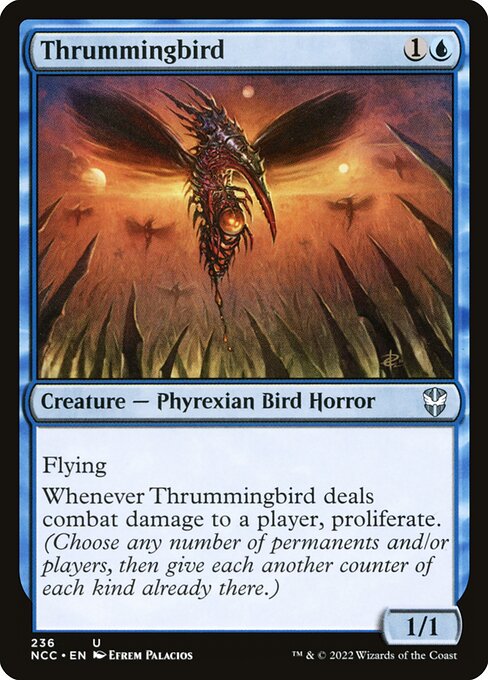 NCC: Thrummingbird